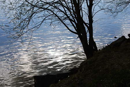 Umeälven © Lars-Göran Norlin