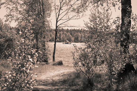 Nydalasjön Vid Nydalasjön, Umeå.