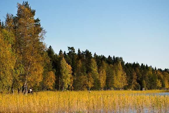 Höstlandskap