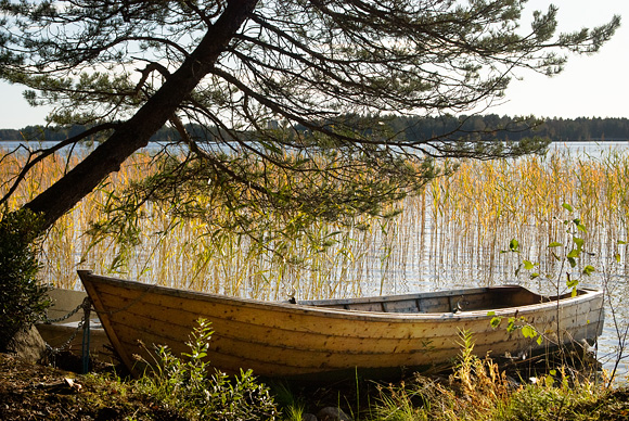 Höstlandskap med båt