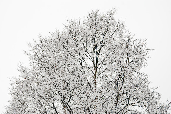 © Fotograf Lars-Göran Norlin