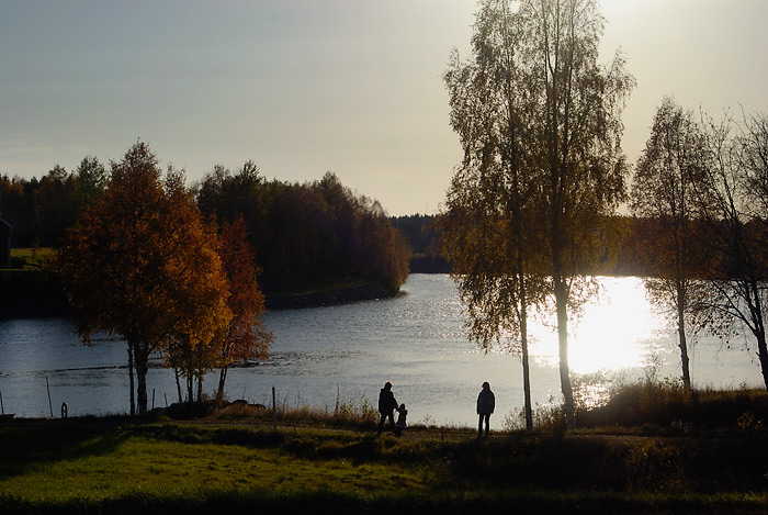 Höst i Vännäsby #II