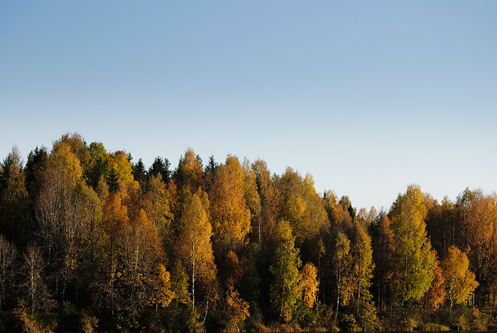 Höst i Vännäsby 