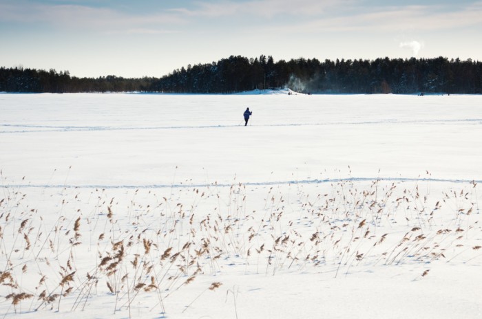 Nydalasjön