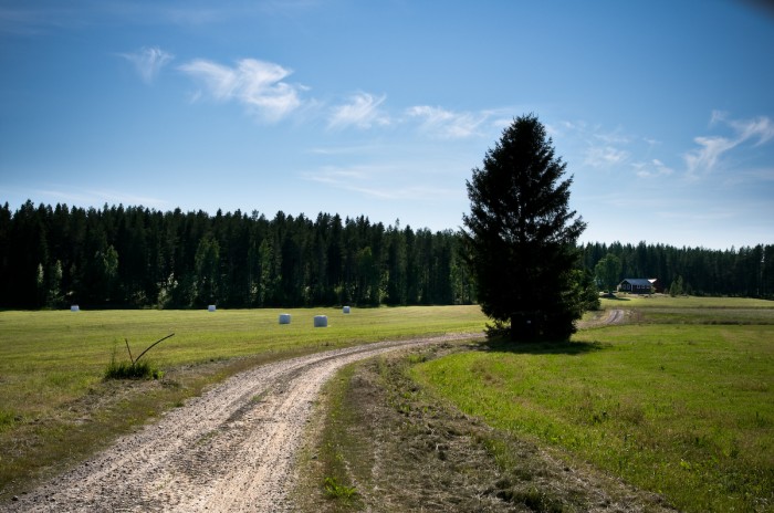 Bursiljum