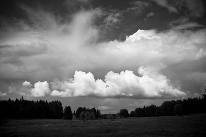 Mariehemsängarna