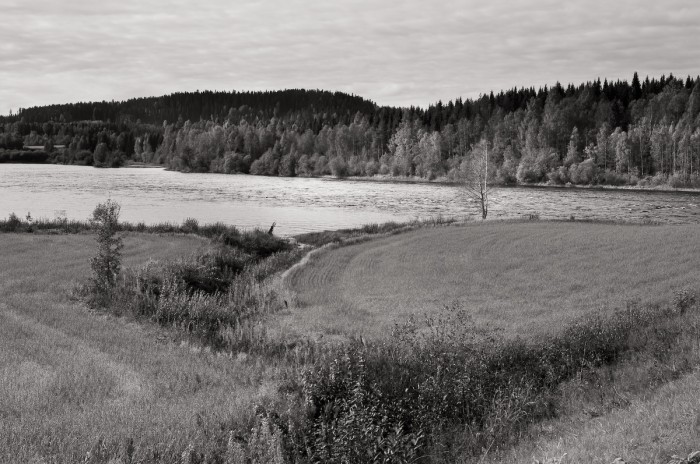 Landskap Rödåsel, Västerbotten. Fotograf Lars-Göran Norlin