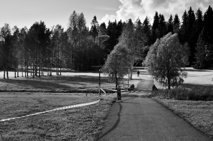 Mariehemsängarna, Umeå. Fotograf Lars-Göran Norlin