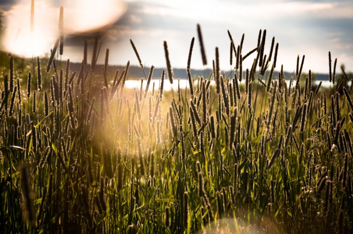 Bälinge, Luleå. Fotograf Lars-Göran Norlin