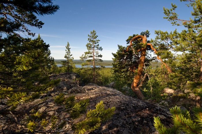 Bälingeberget. Fotograf Lars-Göran Norlin