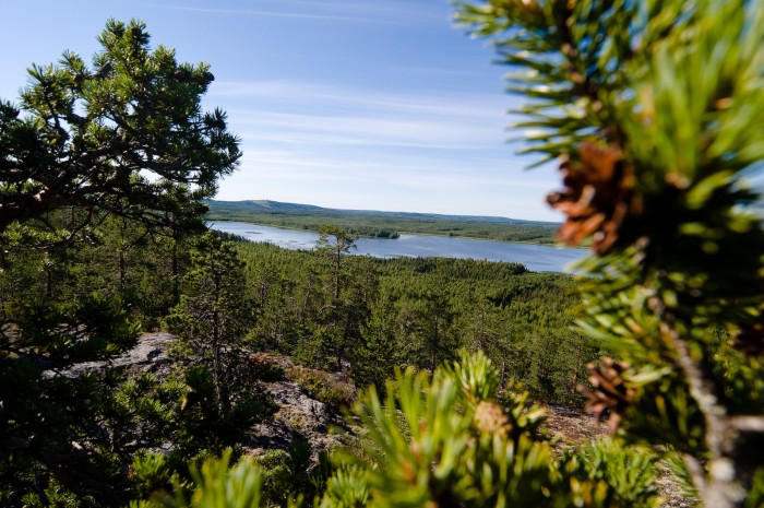 Träsket, Bälingeberget, Luleå. Fotograf Lars-Göran Norlin