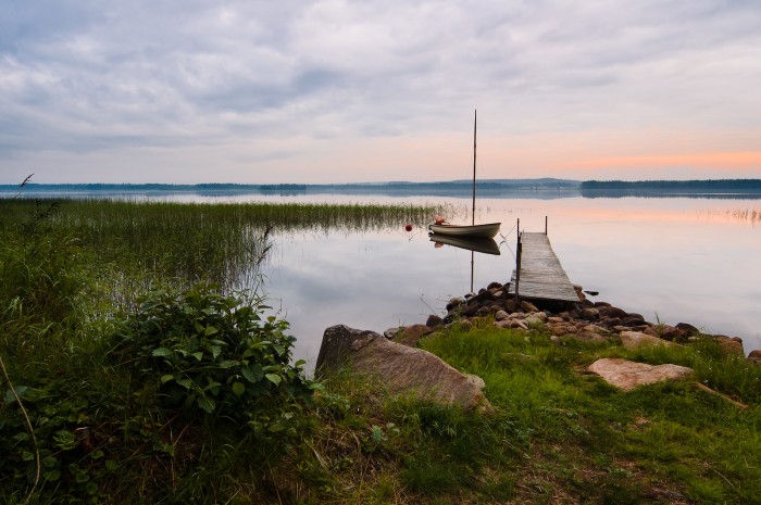 Träsket. Fotograf Lars-Göran Norlin