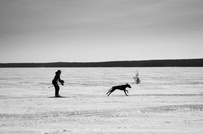 På isen vid Tomholmen, Luleå