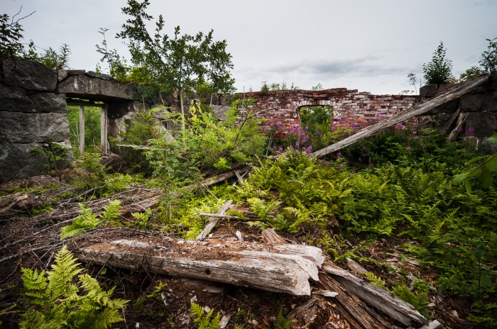LGNorlin-20130720-09531