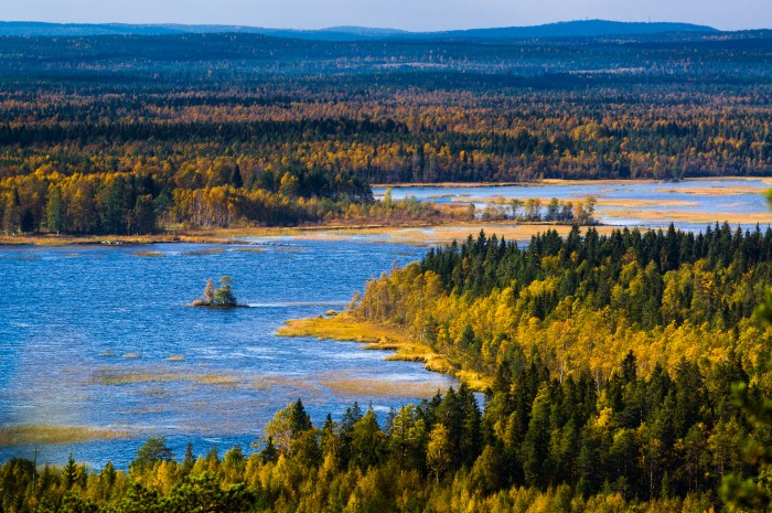 Utsikt från berget