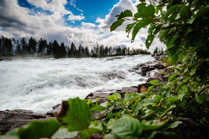 Storforsen, Älvsbyn, 17 augusti 2014.