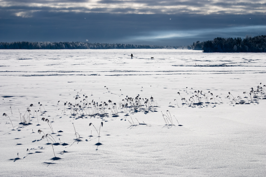 Nydalasjön