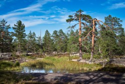 Bälingeberget