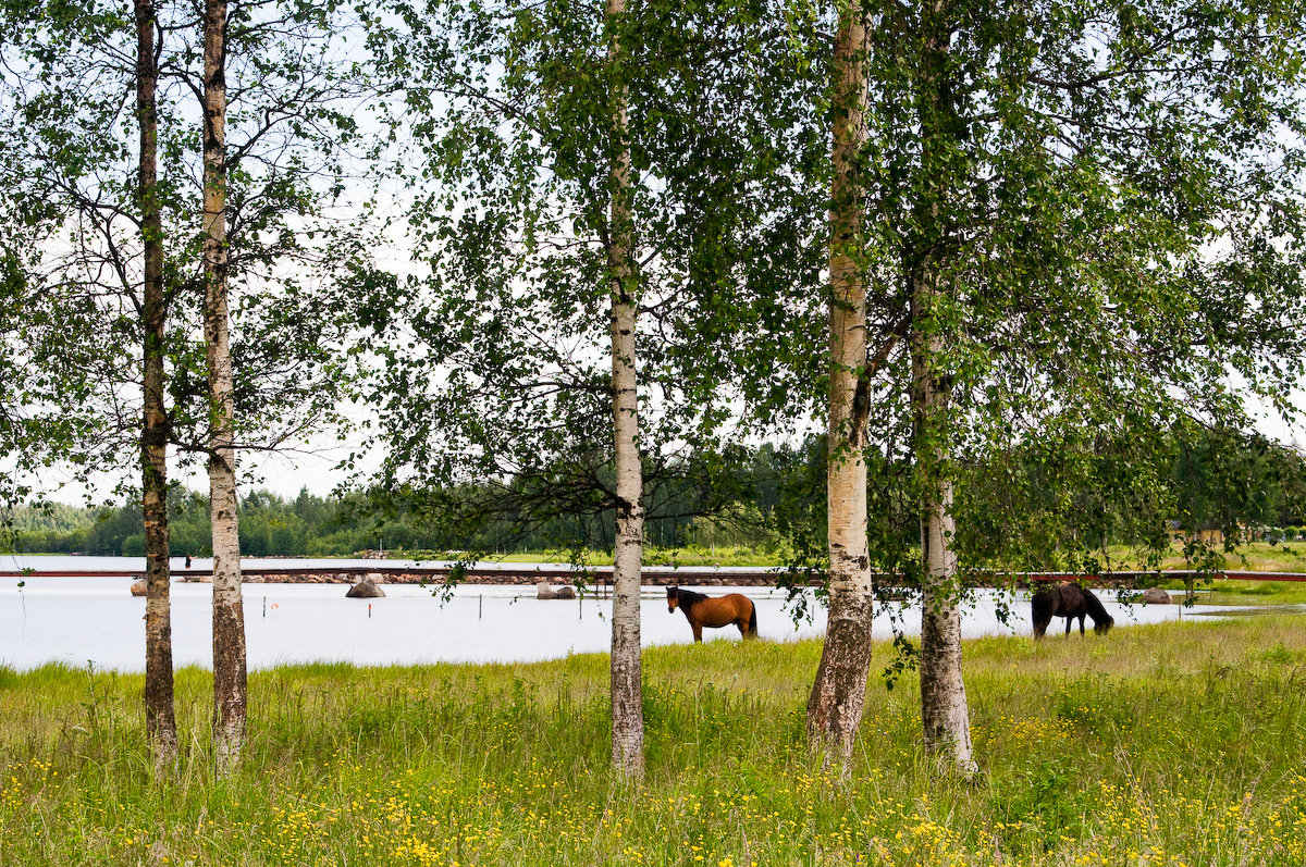 Bälinge Fotograf Lars-Göran Norlin