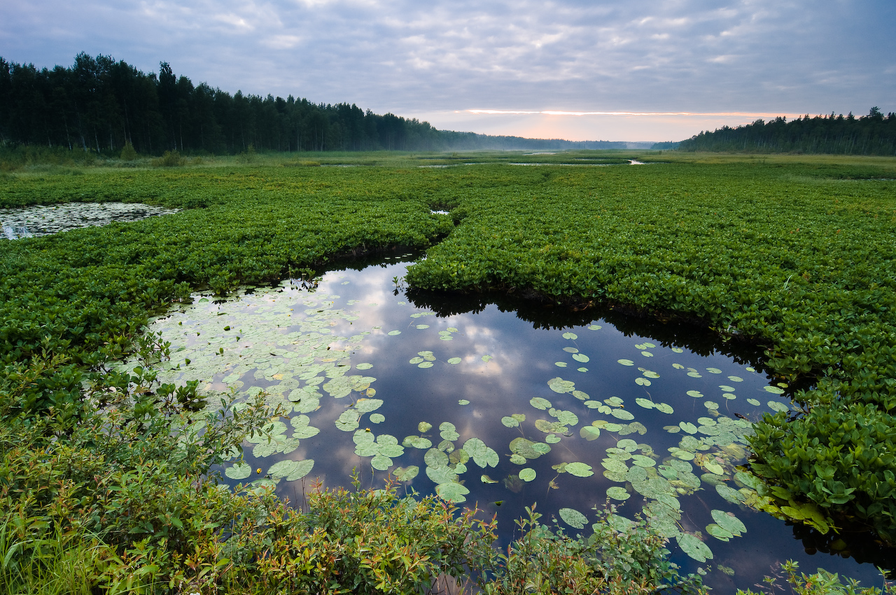 Alviksträsk