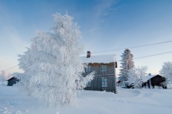 Hus i Avan