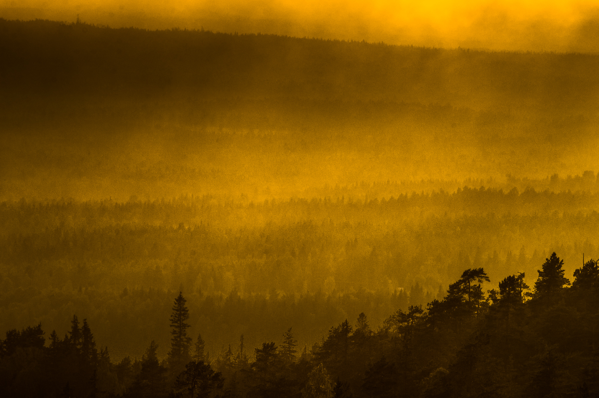 Utsikt från Berget